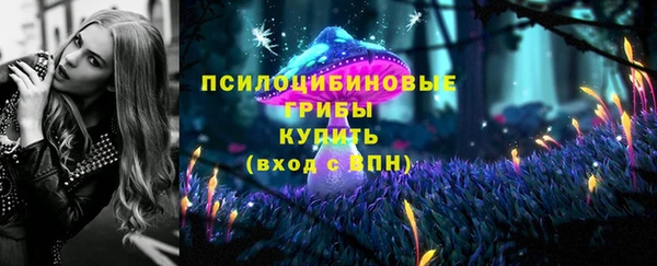 тгк Красноперекопск